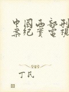 中国西部刑侦大案纪实电视剧全集