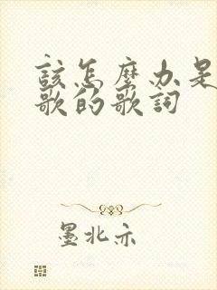 该怎么办是哪首歌的歌词