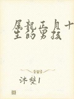 属龙正月十七出生的男孩