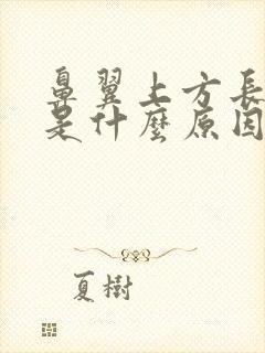 鼻翼上方长痘痘是什么原因