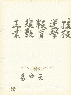 正规叛逆孩子专业教育学校