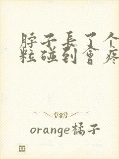 脖子长了个小肉粒碰到会疼