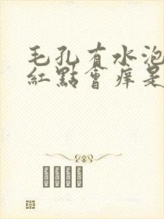 毛孔有水泡还有红点会痒是怎么啦封面