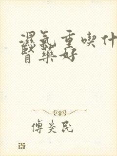 湿气重吃什么补肾药好