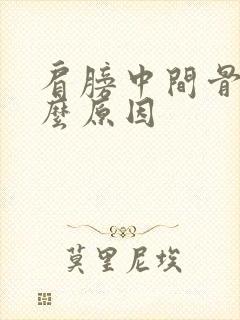 肩膀中间骨疼什么原因