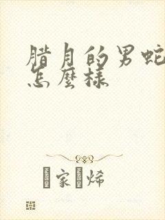 腊月的男蛇命运怎么样封面