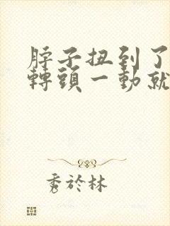 脖子扭到了不能转头一动就痛该怎么办