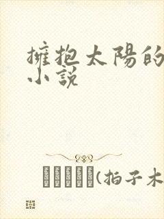 拥抱太阳的月亮小说
