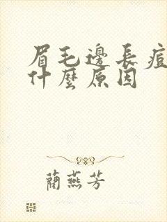 眉毛边长痘痘是什么原因