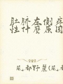 肚脐左侧疼痛女性什么原因封面