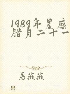 1989年农历腊月二十一是什么命