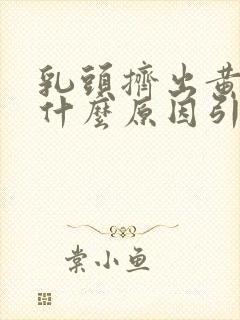 乳头挤出黄水是什么原因引起的