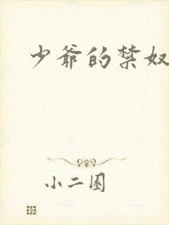 少爷的禁奴
