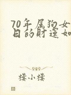 70年属狗女今日的财运如何