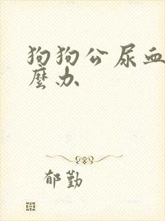 狗狗公尿血是怎么办