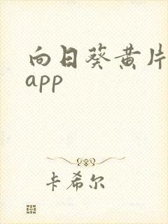 向日葵黄片软件app