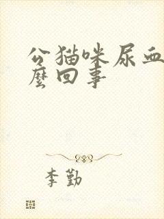 公猫咪尿血是怎么回事