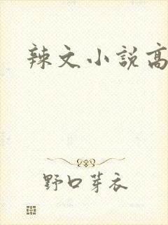 辣文小说高h