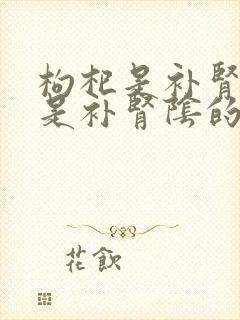 枸杞是补肾阳还是补肾阴的封面