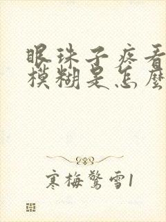 眼珠子疼看东西模糊是怎么回事