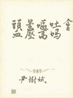 头晕呕吐会引起血压高吗