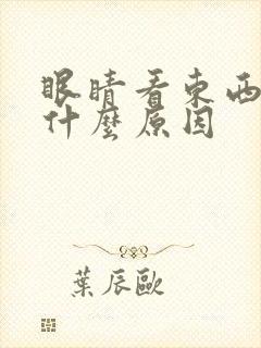 眼睛看东西模糊什么原因