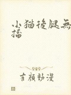 小猫后腿无力抽搐