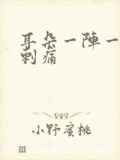 耳朵一阵一阵的刺痛