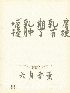 哺乳期乳房碰撞后肿了有硬块怎么办封面