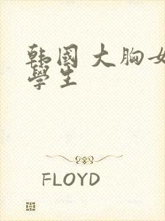 韩国 大胸女大学生