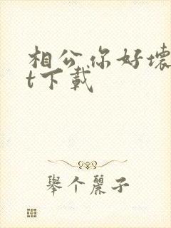 相公你好坏txt下载封面