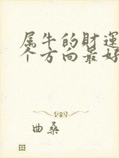 属牛的财运在哪个方向最好?封面