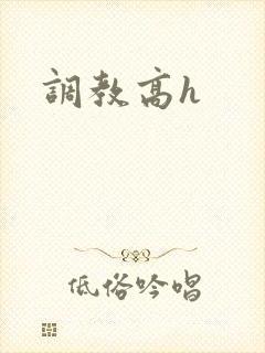 调教高h
