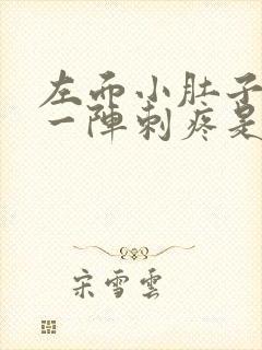 左面小肚子一阵一阵刺疼是怎么回事