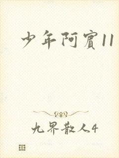 少年阿宾11封面