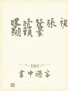 眼睛发胀视力模糊头晕封面