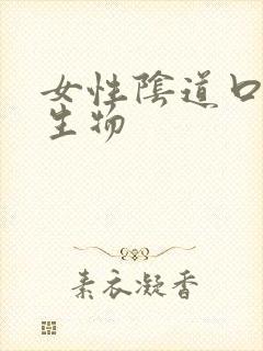 女性阴道口硬赘生物