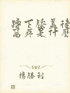 蹲下膝盖后面的窝疼是什么原因封面