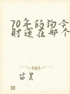 70年的狗今年财运在哪个方向