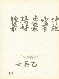 脾阳虚吃什么药最好最有效果