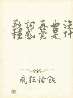歌词再也没有那种感觉是什么歌