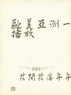 欧美亚洲一级片播放