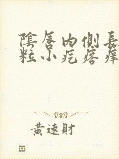 阴唇内侧长了米粒小疙瘩痒