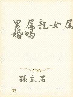 男属龙女属羊合婚吗