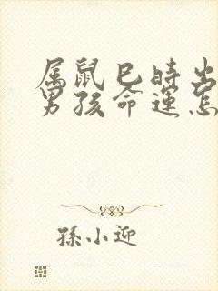 属鼠巳时出生的男孩命运怎么样