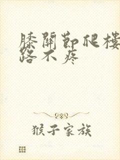 膝关节爬楼疼走路不疼