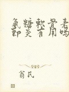 氨糖软骨素对关节炎有用吗