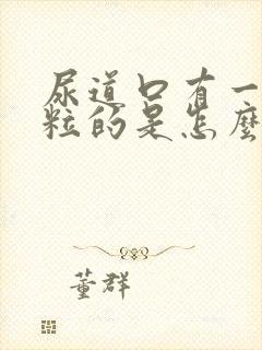 尿道口有一粒一粒的是怎么回事 女