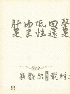 肝内低回声结节是良性还是恶性