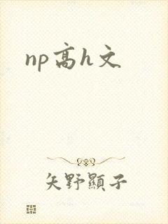 np高h文